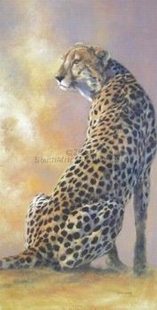Lone Cheetah