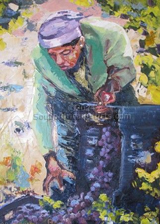 Xhosa Woman Picking Grapes Nr 3