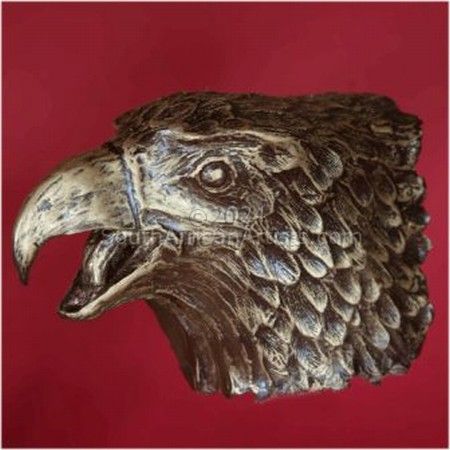 Fish Eagle head