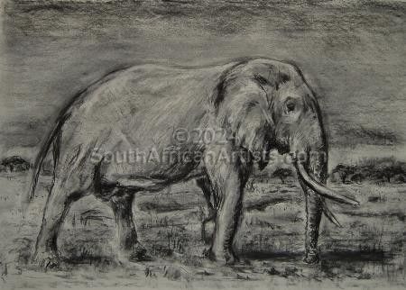 Lapalala Elephant