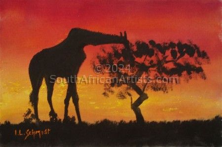 Giraffe with Acacia Tree