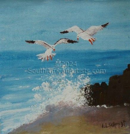 Seagulls & Rocks