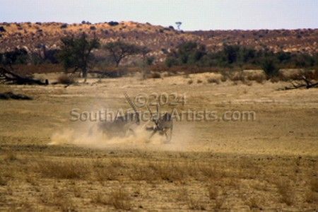 Duel of the Desert No. 7 of 32