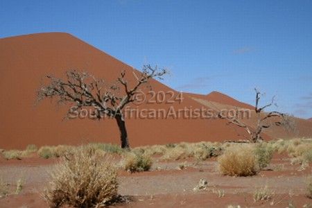 Into the Namib No. 4 of 35