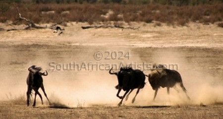 Wildebeest Rut No. 6 of 35