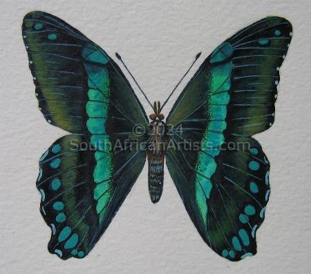 Green Banded Swallowtail