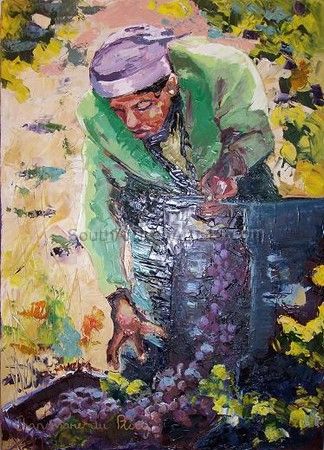 Xhosa Woman Picking Grapes Iii