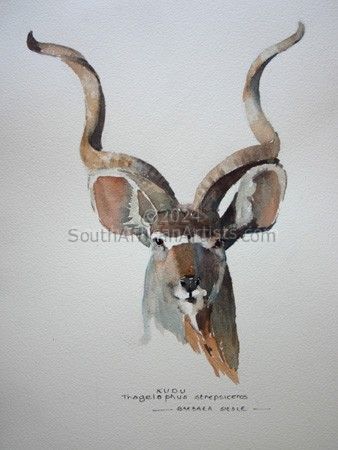 Illustration Kudu 003