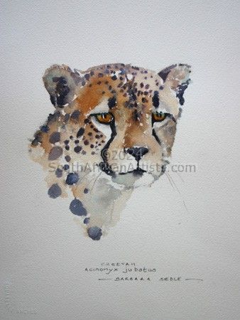 Illustration Cheetah 004