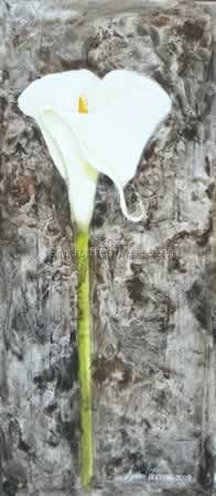 Arum Lily #1
