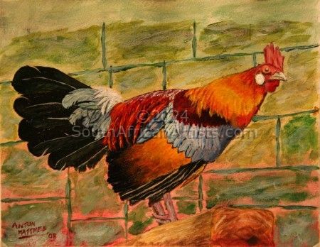 Rooster - Print