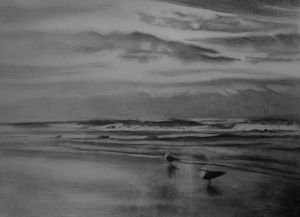 "Seagulls on shoreline"