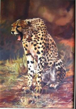 "Cheetah"