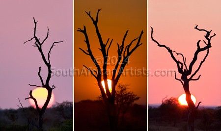 African Silhouette - Triptych