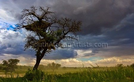 Kalahari Moods - Approaching Storm