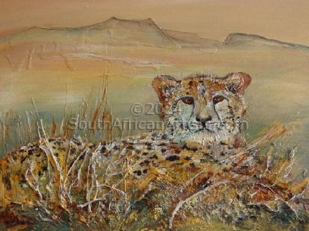 Cheetah in The Namib