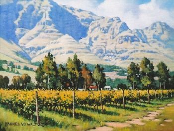 "Stellenbosch Mountain with Vineyards"