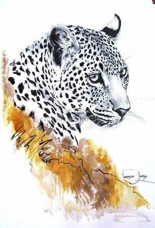 Leopard Portrait (female)