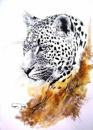 Leopard Portrait (male)