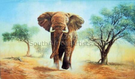 Kalahari Elephant Charge