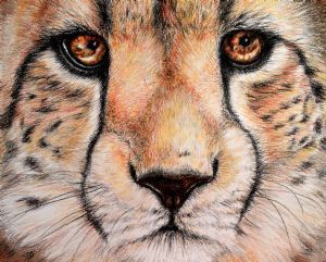 "Portrait of a Cheetah"