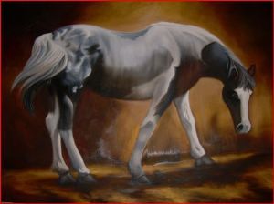 "Piebald Horse"