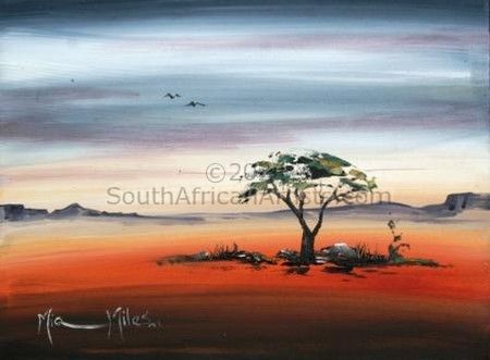 African Thorntree