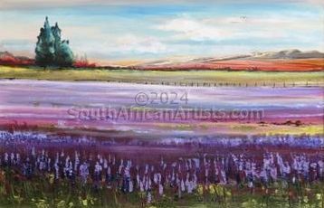 lavender fields-framed