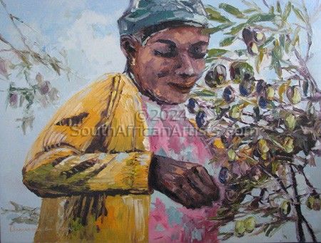 Harvesting Olives at Hamilton Russel