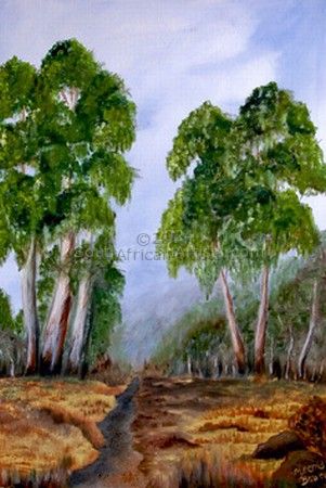 Gum Trees in Valley