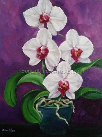 Flowering Orchid