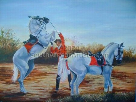 Lipizzaners in Action