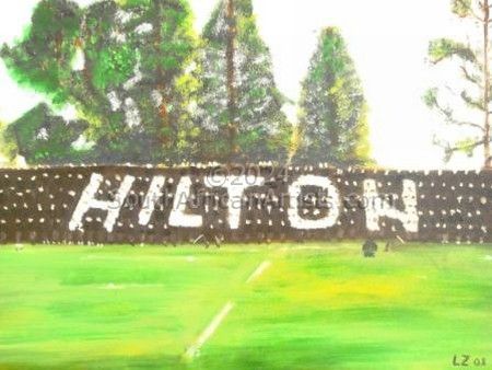 Hilton College Rugby Field