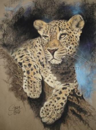 Leopard in pastel
