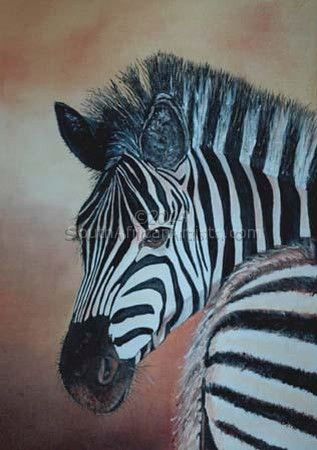 zebra, head