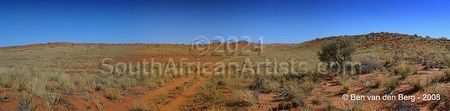 Kalahari Panorama