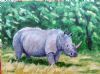 "White Rhino"