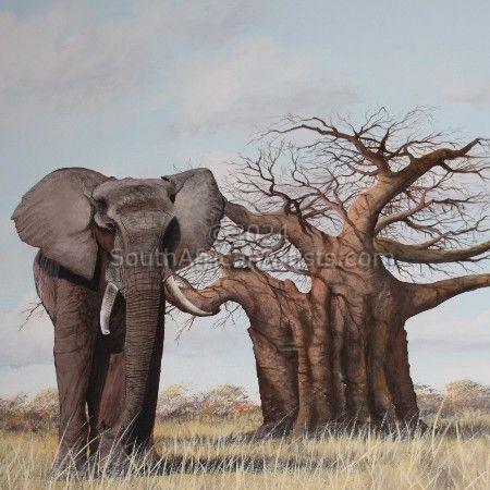 Elephant at Baobab
