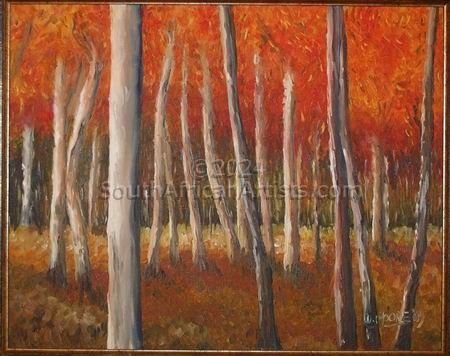 Silver Birch Trees and Orange Leaves