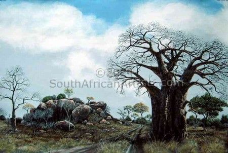 Baobab & rocks
