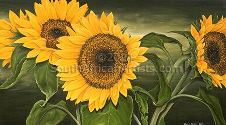 My Sunflower Dream