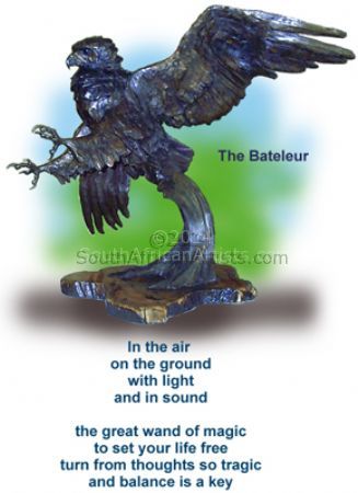 Bateleur Eagle (Life Size)