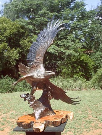 Fish Eagle (Life Size) 