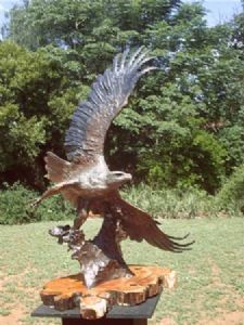 "Fish Eagle (Life Size) "