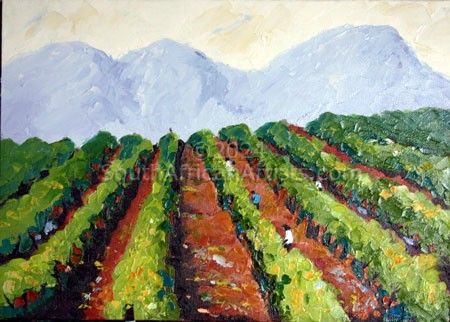 Winelands Harvest
