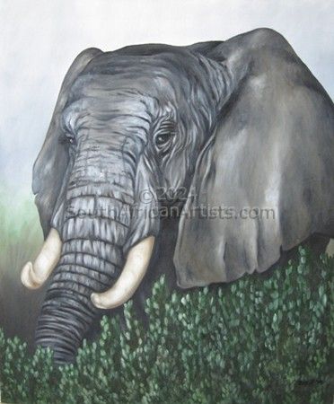 Elephant in the Bush
