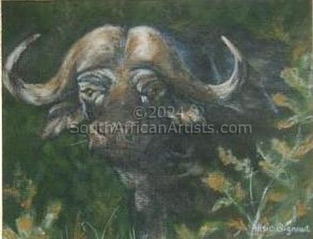 Shy buffalo