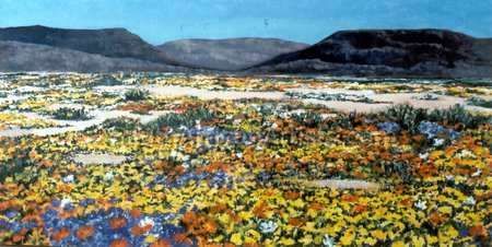 Namaqualand: Sand and Flowers RESERVED