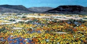 "Namaqualand: Sand and Flowers RESERVED"