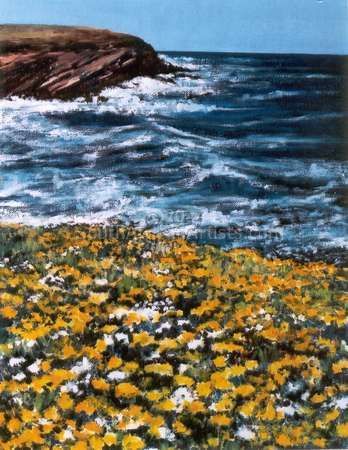 Namaqualand: Seascape With Spring Flowers
